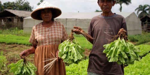 Penguatan Agrikultur Indonesia Upaya
